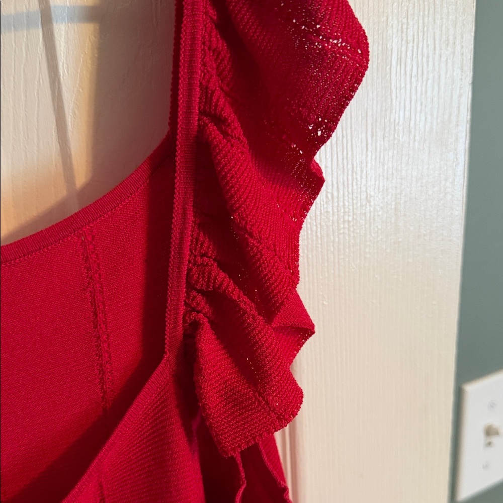 Ann Taylor Factory Red Ruffle Tank Top - Picture 3 of 6